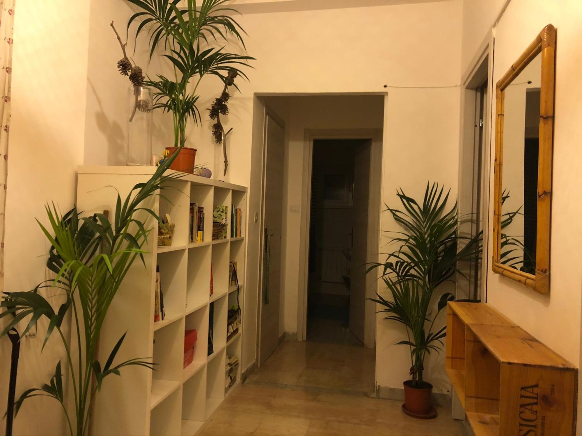 Apartamento LizArtGarden panoramic Roma Exterior foto